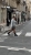 image00001.jpeg