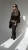 image00008.jpeg