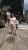 image00017.jpeg