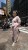 image00010.jpeg